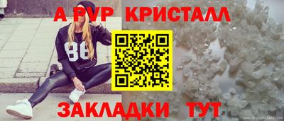 крисы Норильск