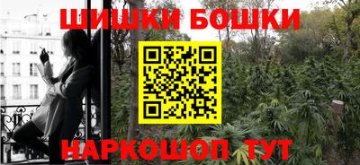 гашик Ногинск