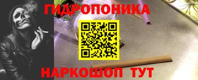 крисы Норильск