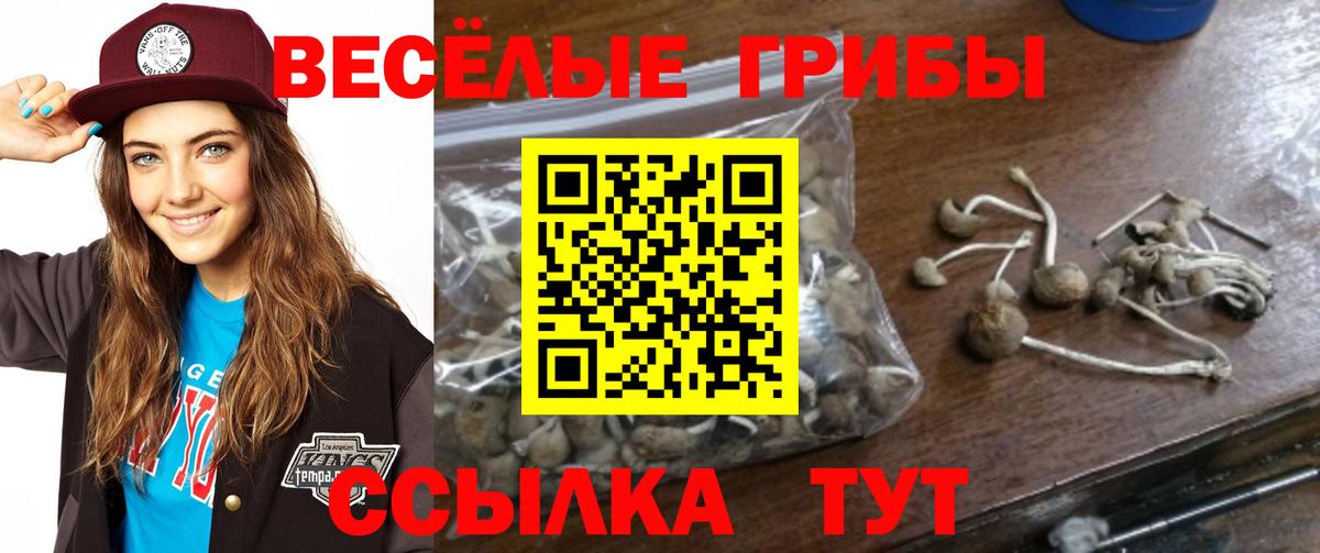 Псилоцибиновые грибы прущие грибы Выборг